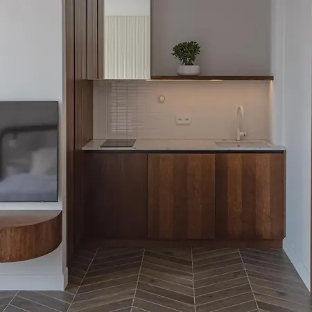 Modern Next To Monaco Beausoleil