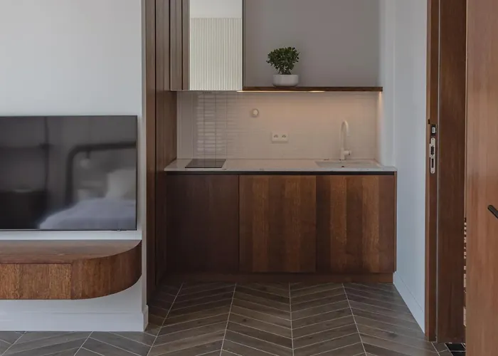 Modern Next To Monaco Beausoleil
